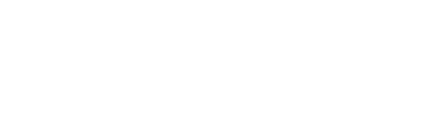 StRoGo